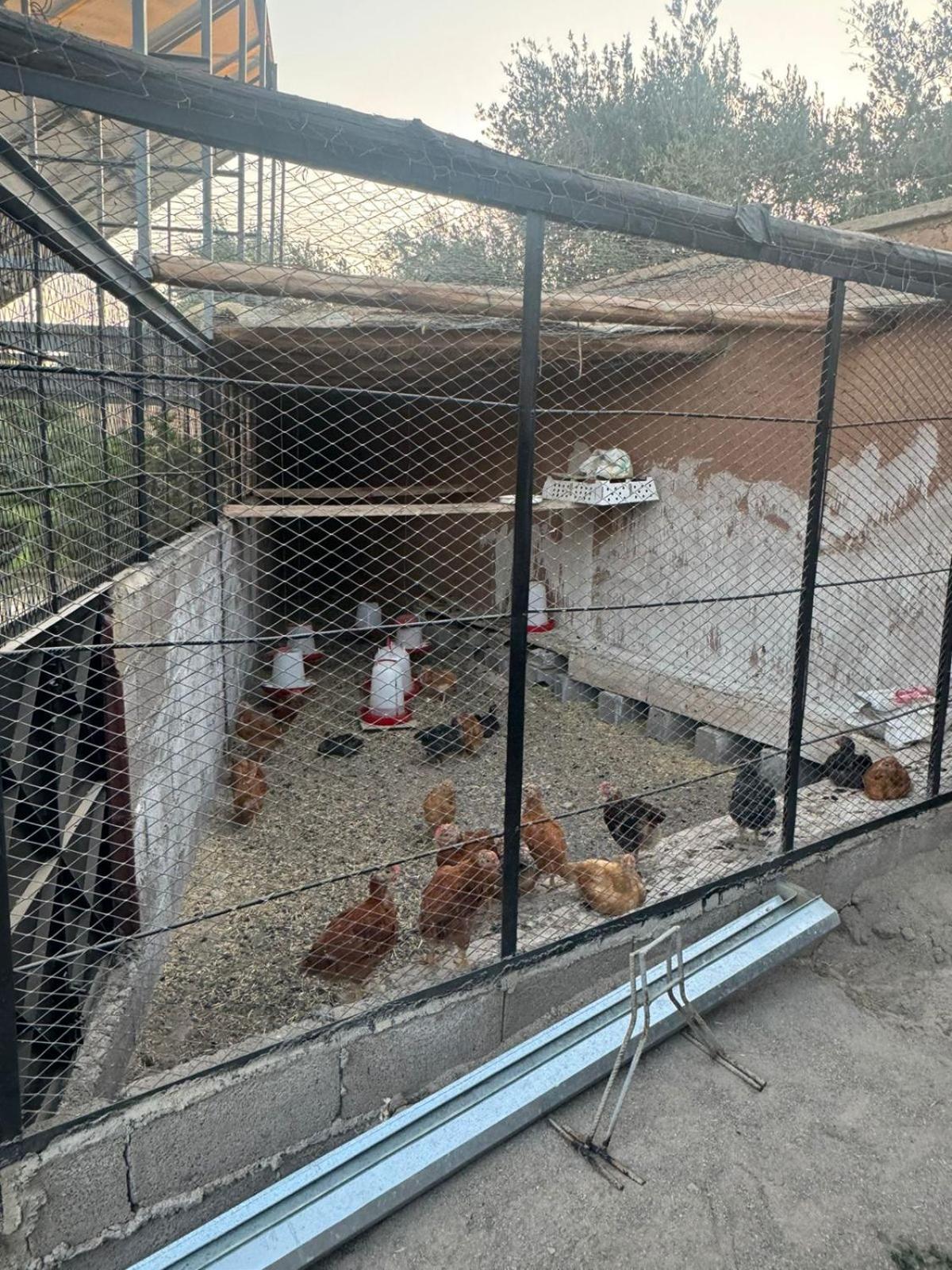 Villa Salah Marrakesz Zewnętrze zdjęcie